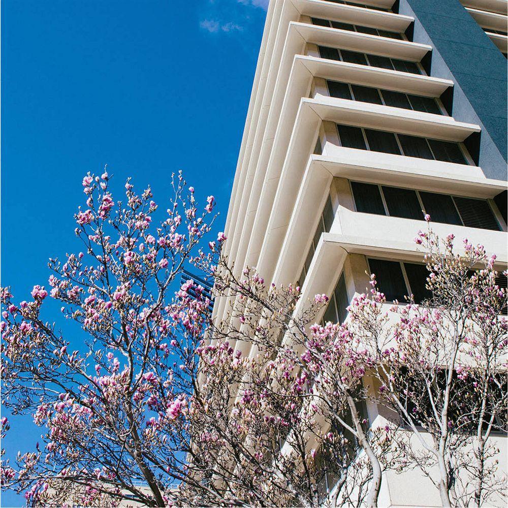 Abode Woden Aparthotel Κανμπέρα Εξωτερικό φωτογραφία